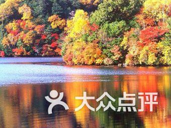 逃离危险禁地