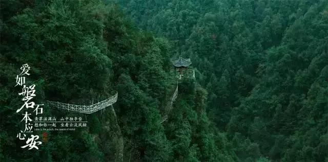 救援七星瓢虫