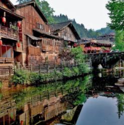 梦想的后院