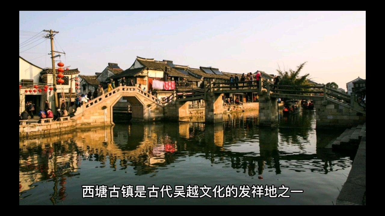 大白菜的做法大全游戏画面